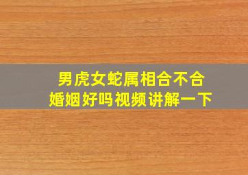 男虎女蛇属相合不合婚姻好吗视频讲解一下