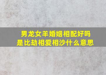 男龙女羊婚姻相配好吗是比劫相爱相沙什么意思