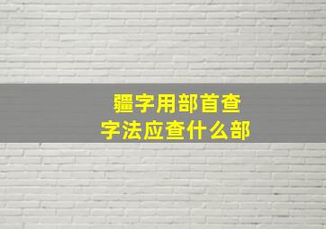 疆字用部首查字法应查什么部