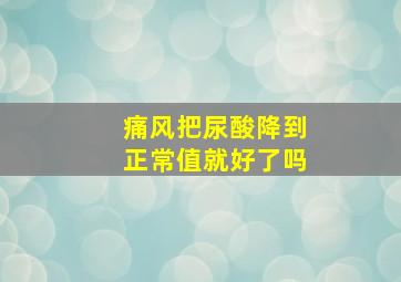 痛风把尿酸降到正常值就好了吗