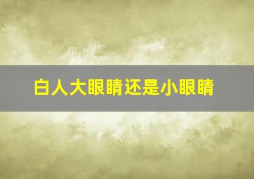 白人大眼睛还是小眼睛