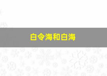 白令海和白海