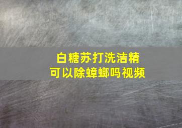 白糖苏打洗洁精可以除蟑螂吗视频