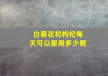 白菊花和枸杞每天可以服用多少颗