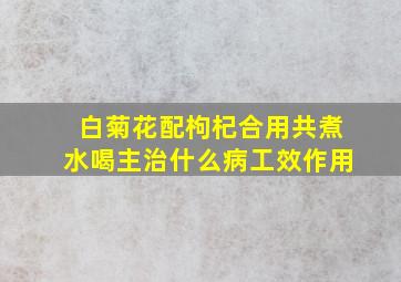 白菊花配枸杞合用共煮水喝主治什么病工效作用