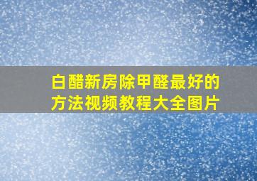 白醋新房除甲醛最好的方法视频教程大全图片