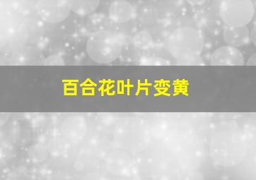 百合花叶片变黄