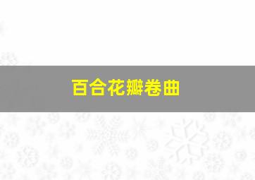 百合花瓣卷曲