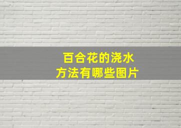 百合花的浇水方法有哪些图片