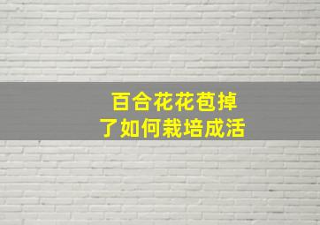 百合花花苞掉了如何栽培成活