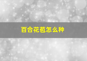 百合花苞怎么种