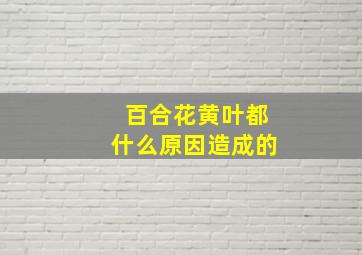 百合花黄叶都什么原因造成的