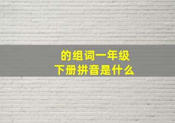 的组词一年级下册拼音是什么