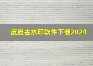 皮皮去水印软件下载2024