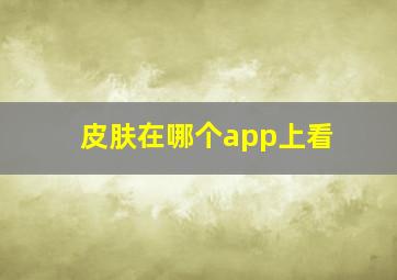 皮肤在哪个app上看