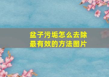 盆子污垢怎么去除最有效的方法图片