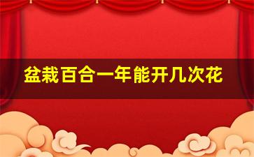 盆栽百合一年能开几次花