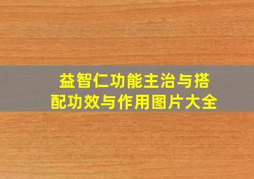 益智仁功能主治与搭配功效与作用图片大全