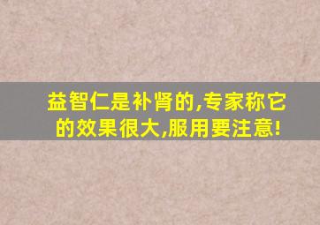 益智仁是补肾的,专家称它的效果很大,服用要注意!