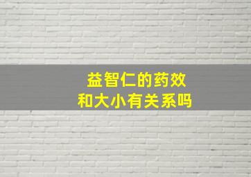 益智仁的药效和大小有关系吗