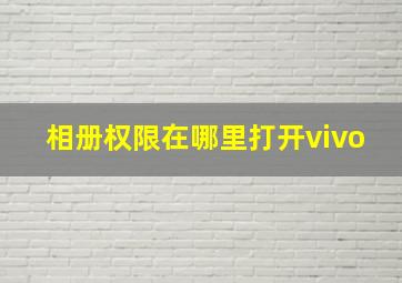 相册权限在哪里打开vivo