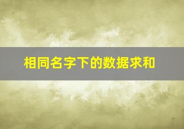 相同名字下的数据求和