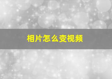 相片怎么变视频