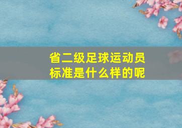 省二级足球运动员标准是什么样的呢