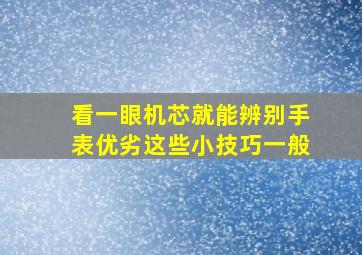 看一眼机芯就能辨别手表优劣这些小技巧一般