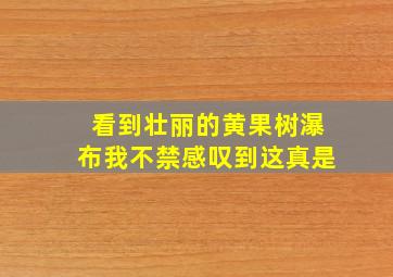 看到壮丽的黄果树瀑布我不禁感叹到这真是