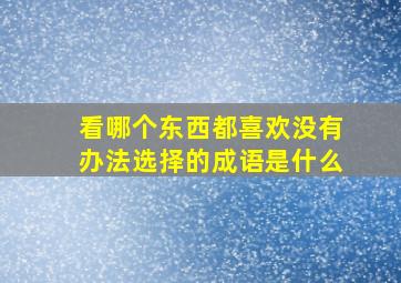 看哪个东西都喜欢没有办法选择的成语是什么