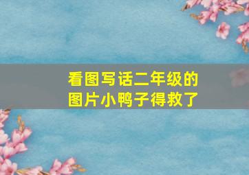 看图写话二年级的图片小鸭子得救了