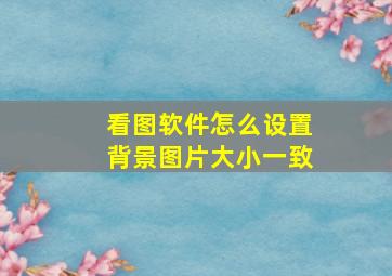 看图软件怎么设置背景图片大小一致