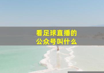 看足球直播的公众号叫什么