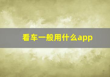 看车一般用什么app