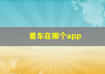 看车在哪个app