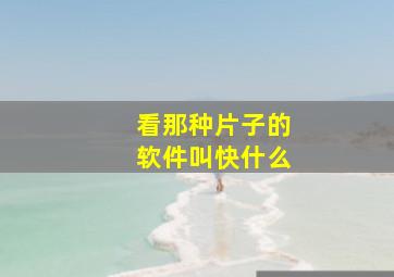 看那种片子的软件叫快什么