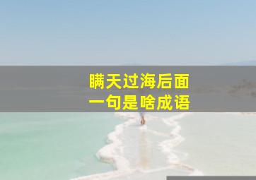 瞒天过海后面一句是啥成语