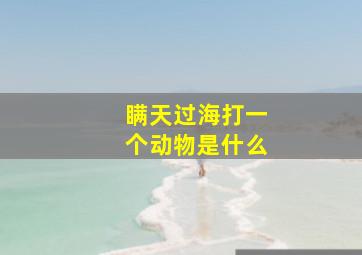 瞒天过海打一个动物是什么