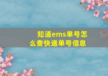 知道ems单号怎么查快递单号信息