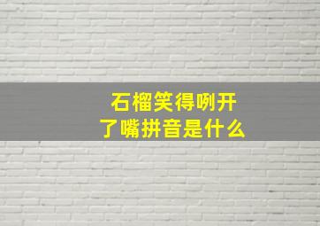 石榴笑得咧开了嘴拼音是什么