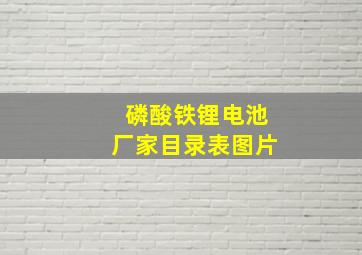 磷酸铁锂电池厂家目录表图片