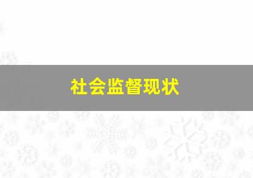 社会监督现状