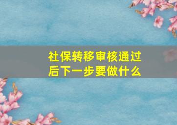 社保转移审核通过后下一步要做什么