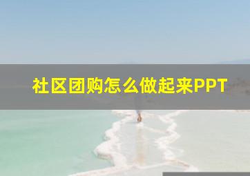 社区团购怎么做起来PPT