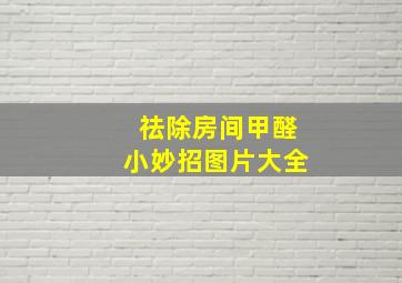 祛除房间甲醛小妙招图片大全