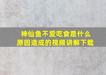 神仙鱼不爱吃食是什么原因造成的视频讲解下载