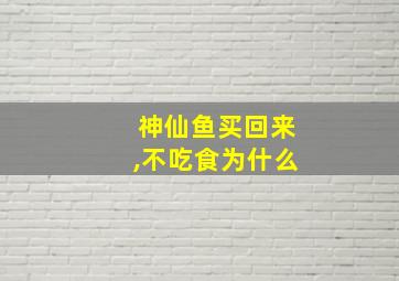 神仙鱼买回来,不吃食为什么