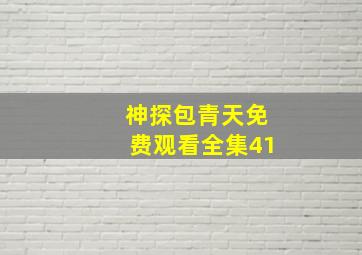 神探包青天免费观看全集41