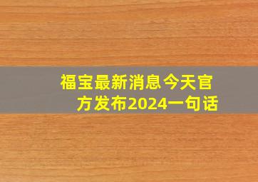 福宝最新消息今天官方发布2024一句话